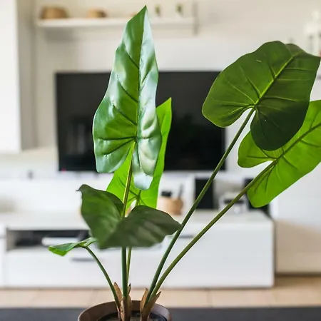 Sueno Вилла Коральео